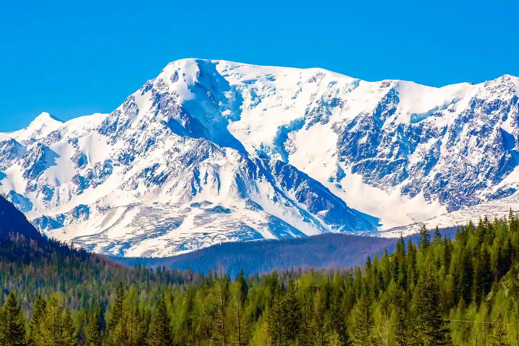 Туры по Алтаю