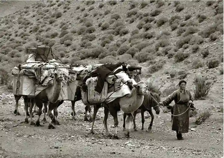 Когда смотришь на перекочевку «дедовским способом», всегда думаешь, как мало изменилось со времен Чингисхана, и насколько лучше монголы приспособлены к окружающему их миру, чем обычные городские жители. Не будет лукавством сказать, что это истинная гармония… Но при своевременном росте населения и урбанизации – надолго ли она?