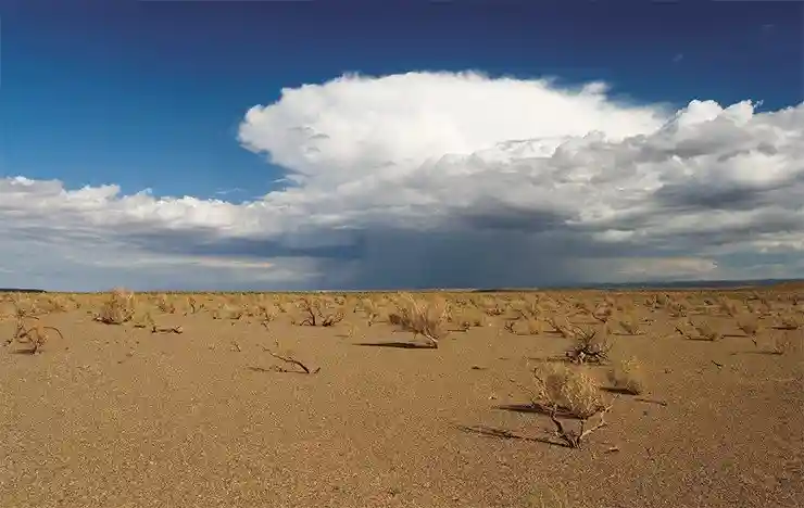 Такое бывает не каждый день: дождь в Гоби («Говь», как называют ее монголы, т. е. «безводное место»)