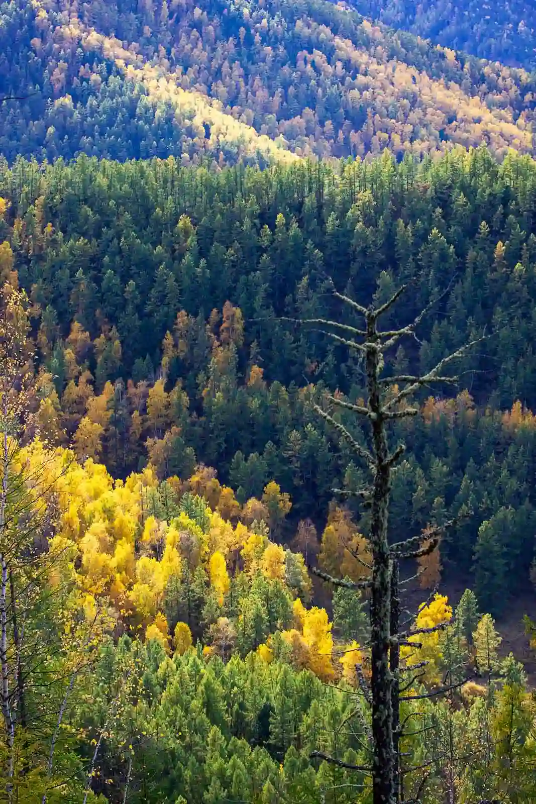 Перевал Чике-Таман осенью