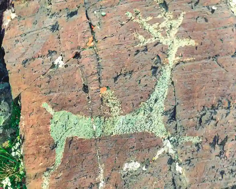 Петроглифы в долине реки Елангаш