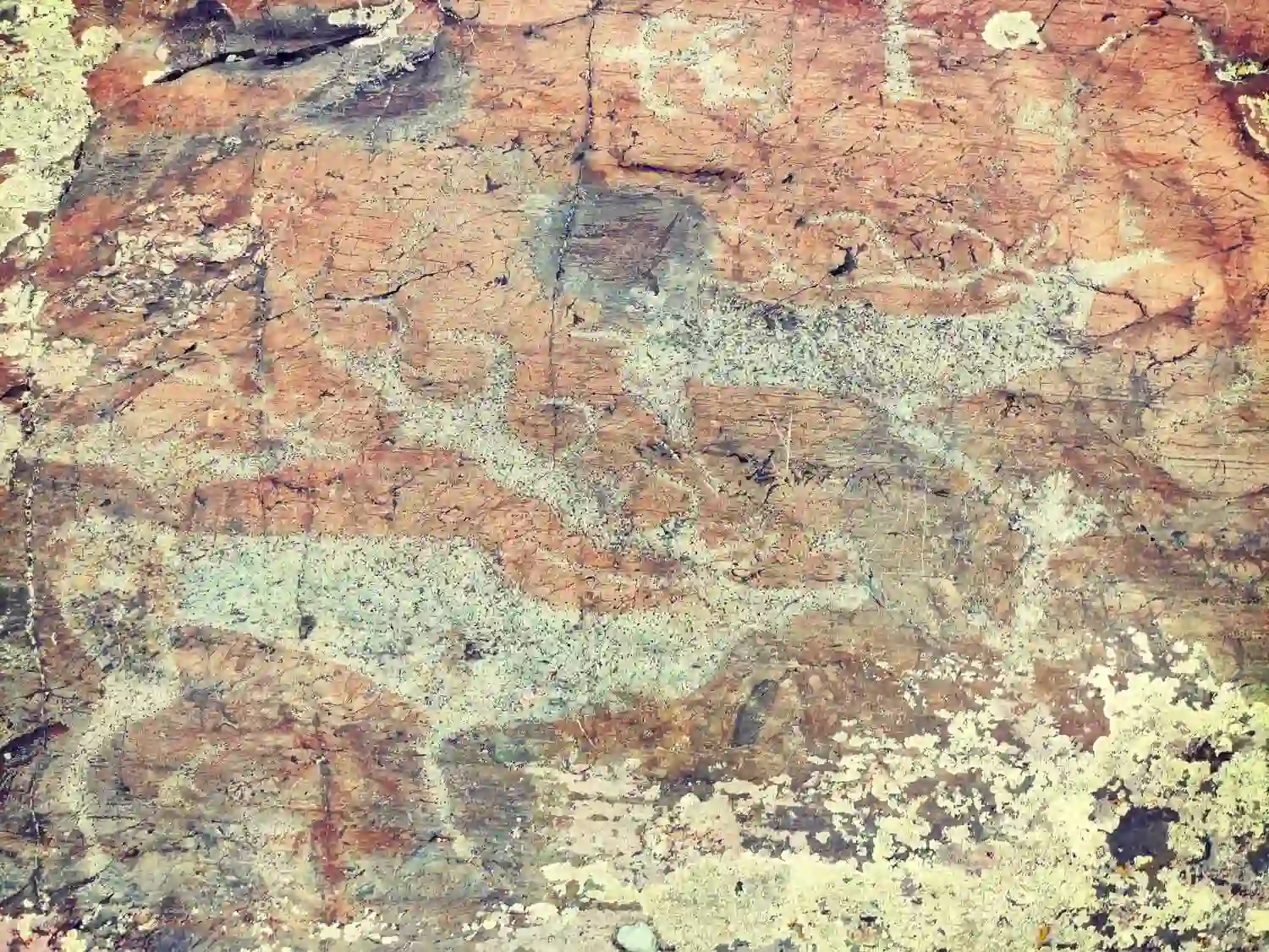 Петроглифы Елангаша на Алтае