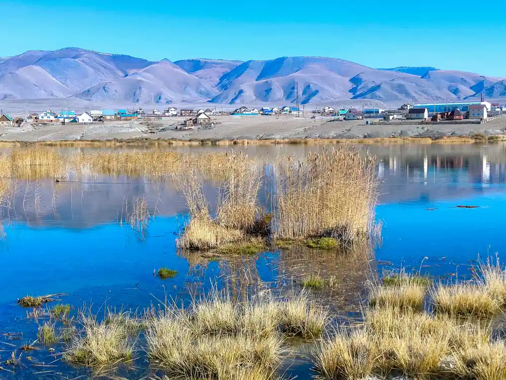 Курай Алтай просторы