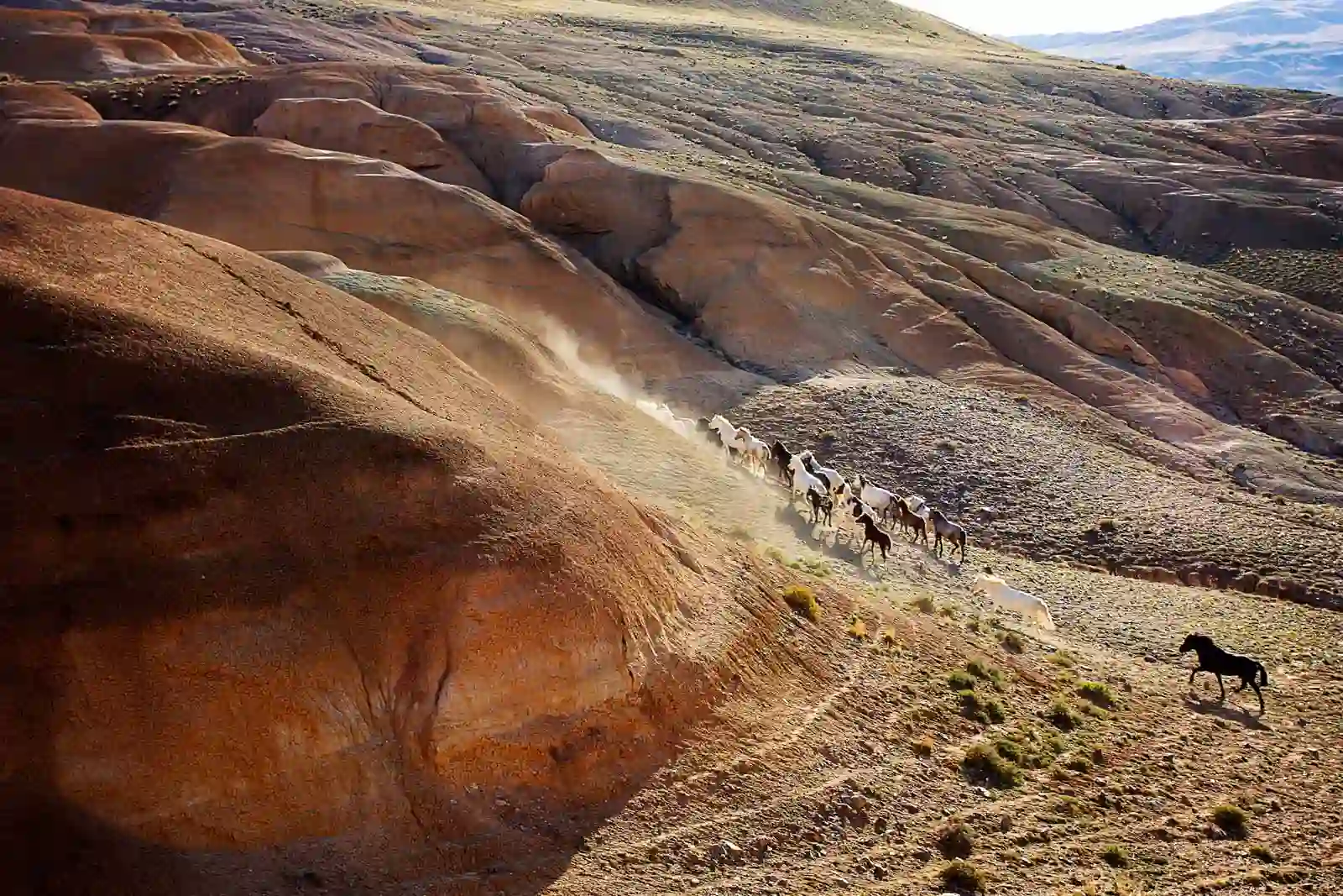 Алтайский Марс