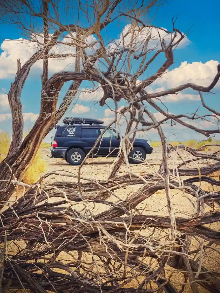 Пустыня Гоби