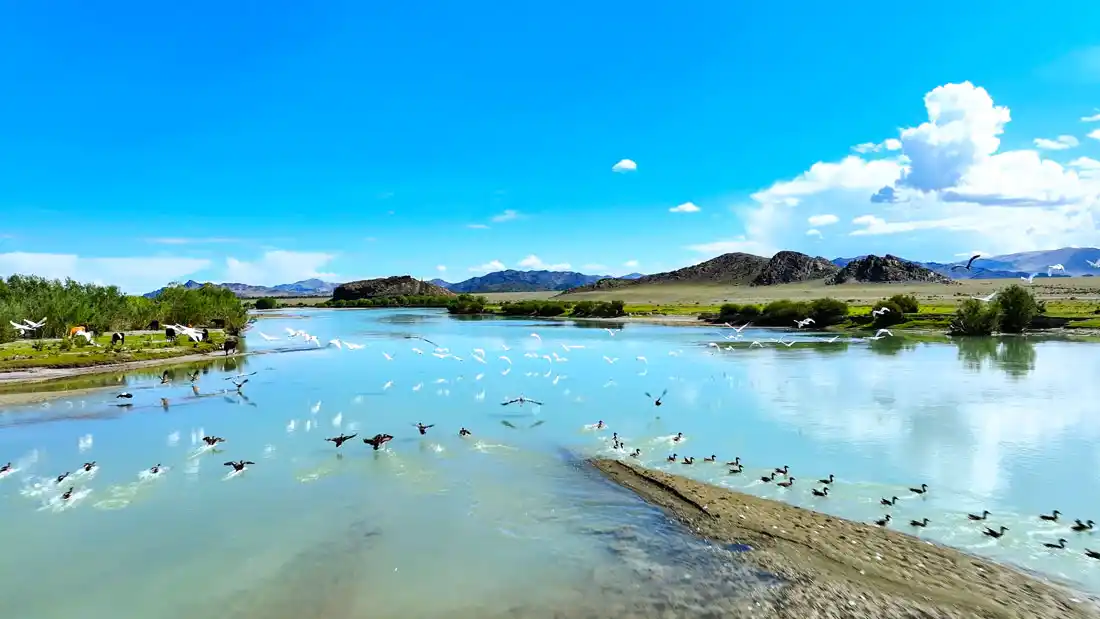 Реки Монголии