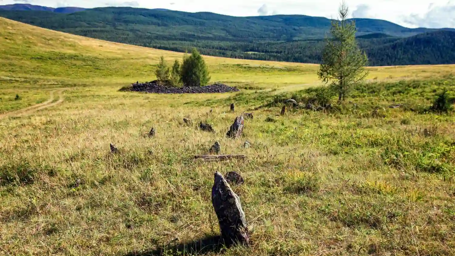 Раскопки Пазырыкских курганов