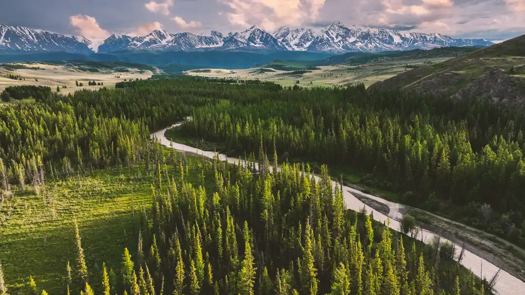 Северо-Чуйский на Алтае