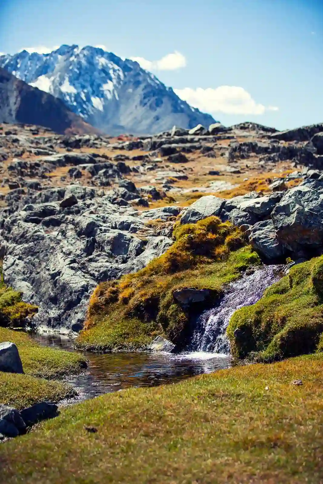 Горный ручей в долине Софийского ледника
