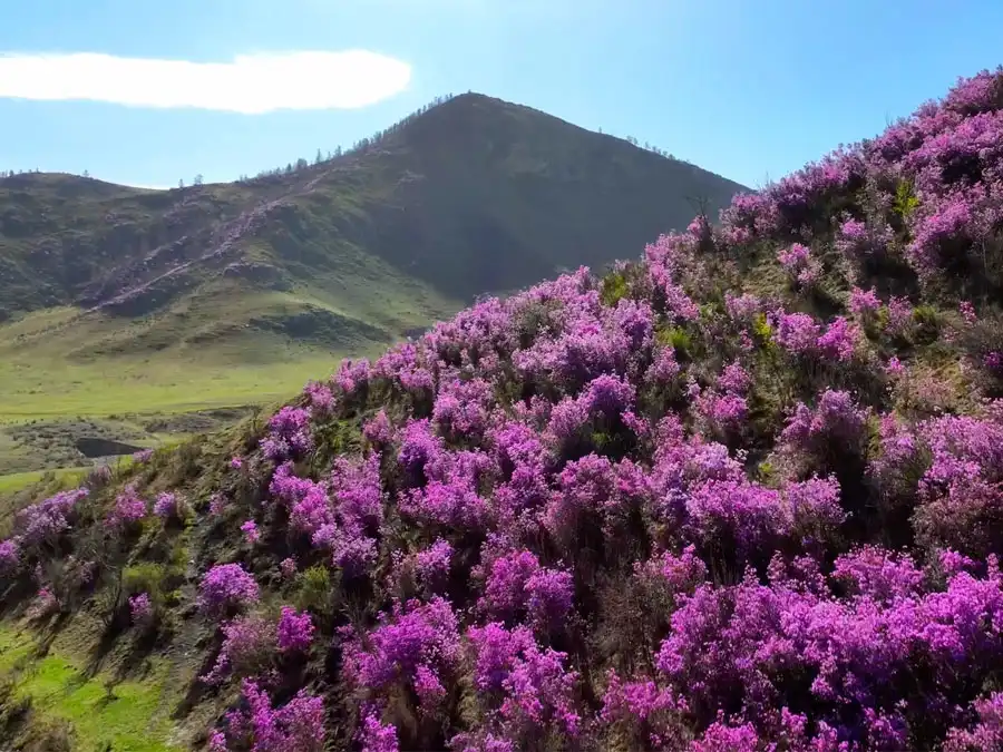 Озеро Дурген-Нуур Монголия