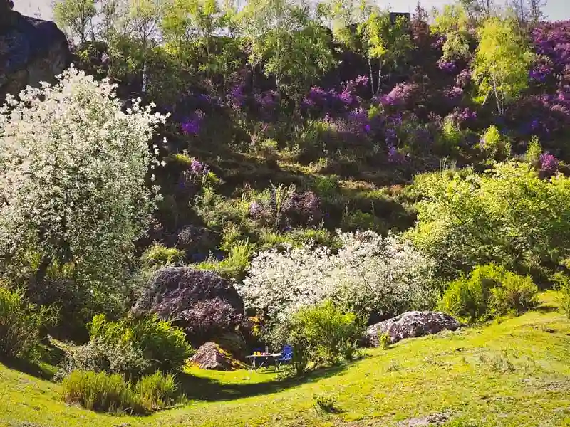 Весна на Алтае