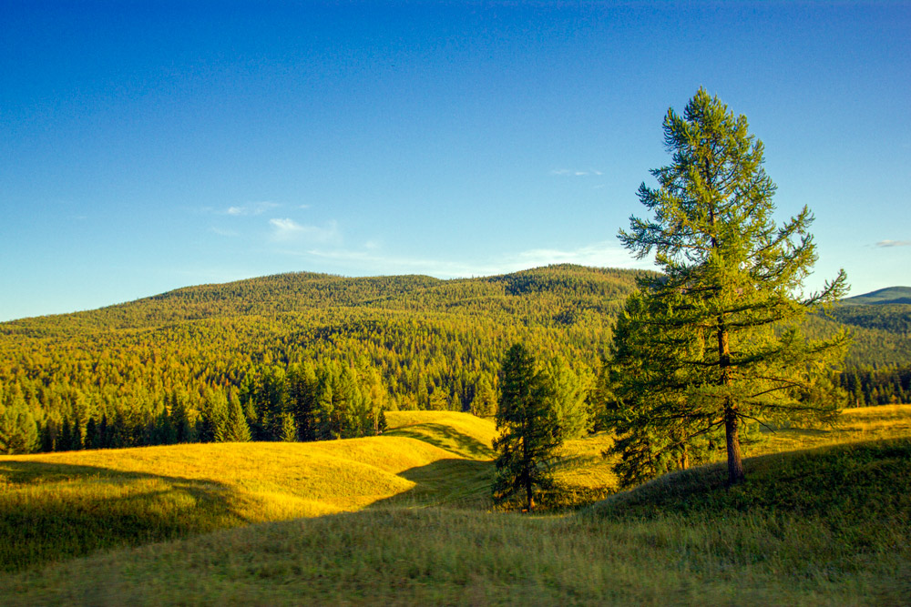 Наше путешествие подходит к концу
